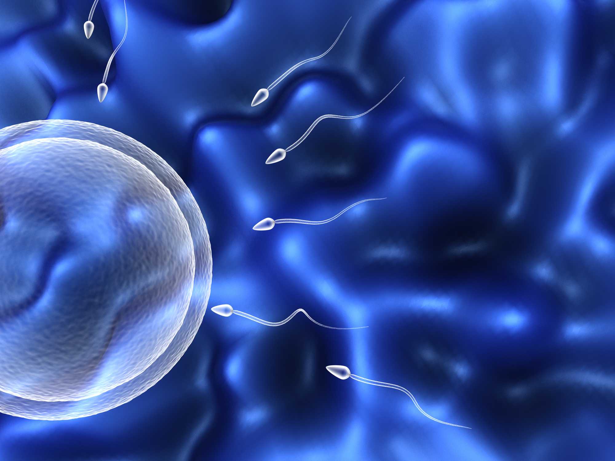 2026年合肥三代试管PGT筛查费用明细与构成